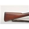 Image 8 : 19AA-77 SPRINGFIELD ARMORY #310108
