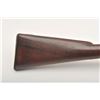 Image 8 : 19AA- 13 COLT