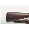 Image 8 : 19AA-63 SPRINGFIELD 1903  #781931