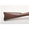 Image 8 : 19AA-91 SPRINGFIELD MUSKET