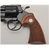 Image 2 : 19AA- 55 COLT OFF MOD #937060