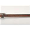 Image 15 : 19BS-35 ITALIAN CARCANO