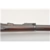 Image 13 : 19BS-14 1884 CADET RIFLE