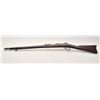 Image 1 : 19BS-14 1884 CADET RIFLE