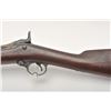 Image 3 : 19BS-14 1884 CADET RIFLE