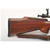 Image 7 : 19AQ-18 SMITH CORONA 03-A3 #4785934