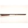 Image 8 : 19BR-1 V BERNA DELLI