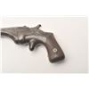 Image 2 : 19CJ-13 BULLDOG