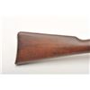 Image 8 : 19AE-11 CARCANO