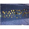 Image 2 : Over 50 collectible spoons