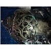 Image 7 : Various collectible silverware and accessories