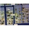 Image 1 : Approx 75 pairs of antique ear rings, many pairs are marked as sterling/925