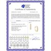 Image 2 : 0.25 CTW Diamond Simple Milgrain-Hoop Earrings 10KT Yellow Gold - REF-22N4F