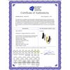 Image 2 : 0.50 CTW Black Color Diamond Bypass Hoop Earrings 14KT Yellow Gold - REF-41K9W
