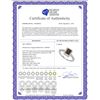 Image 2 : 0.45 CTW Cognac-brown Color Diamond Rectangle Cluster Ring 10KT White Gold - REF-25K4W