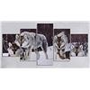 Image 1 : NEW 5PC FRAMED WOLF SHOWHOME