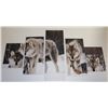 Image 2 : NEW 5PC FRAMED WOLF SHOWHOME