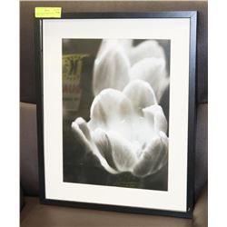 GRAYSCALE FRAMED FLORAL PRINT 17"X21".