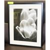 Image 1 : GRAYSCALE FRAMED FLORAL PRINT 17"X21".