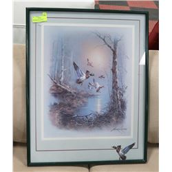 FRAMED MATTED PICTURE OF MALLARD DUCKS FLYING.