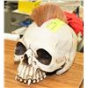 Image 1 : MOHAWK SKULL.