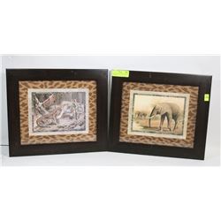 LOT OF 2 ELEPHANT AND LEO SMALL PICTURES.