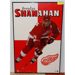 BRENDAN SHANNAHAN FRAMED PICTURE