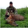 Image 2 : Scotland 7 Day Roe Deer Package for 1 Hunter