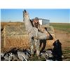 Image 1 : West Texas Sandhill Crane Hunte for 2 Hunters (4 hunters x1 guide ) 3 day/3 nigh
