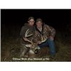 Image 2 : Ohio Whitetail Hunt for a 180" to 200" Class Deer