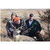 Image 1 : Nebraska 4 day Mule or Whitetail Deer Hunt with Cross or Low Bow or Black powder