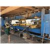 Image 2 : MASSIVE TIMBER MILL COMPONENT LUXOR P.E.T. BLUE DUAL SAW SYSTEM INCLUDING: ROLLER CONVEYORS,