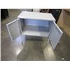 Image 2 : 2 GREY METAL CUPBOARDS