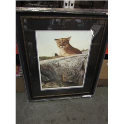 SKYLINED COUGAR BY A CASEY LIMITED EDITION PRINT 23973