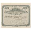 Image 1 : Aerial Circuit Pleasure Wheel Co., 1904 Issued Stock Certificate