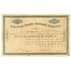 Image 1 : American Pacific Acoustic Co., 1888 Issued Stock Certificate