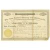 Image 1 : San Rafael Mining and Milling Co., 1889 I/U Stock Certificate