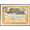 Image 1 : Yellow Tiger Consolidated Mining Co. 1917 Issued Stock Certificate