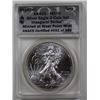 Image 1 : 2013(W) AMERICAN SILVER EAGLE