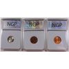 Image 2 : LOT OF NGP GRADED;