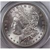 Image 2 : 1884 MORGAN DOLLAR