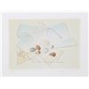 Image 1 : Mary Faulconer, Spring Hope, Lithograph