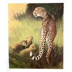 Caroline Schultz, Cheetah Family Masai Mara, Lithograph