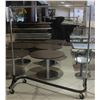 CHROME & BLACK BASE COAT RACK ON CASTORS