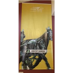 LARGE "THE HORSE AT NORTHLANDS PARK" BANNER