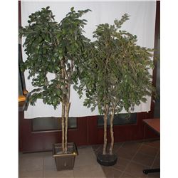 TWO LARGE APPROX 6' TALL ARTIFICIAL TREES