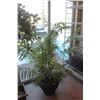 Image 1 : 5'  ARTIFICIAL TROPICAL BUSH PLANT IN LARGE