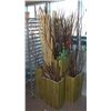 Image 1 : DECORATIVE TWIGS AND BRANCHES IN SQUARE AND