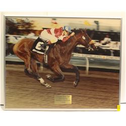 1991 CANADIAN DERBY "SOUNDS FABULOUS" BY