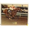 Image 1 : 1991 CANADIAN DERBY "SOUNDS FABULOUS" BY
